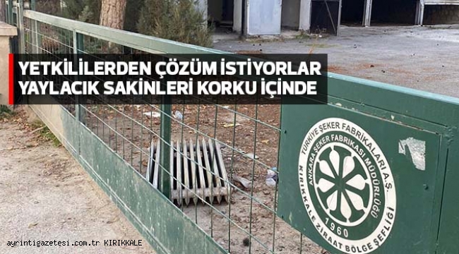 YETKİLİLERDEN ÇÖZÜM İSTİYORLAR YAYLACIK SAKİNLERİ KORKU İÇİNDE