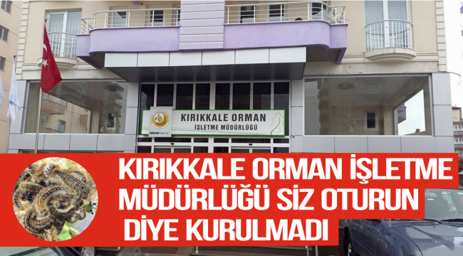 AMAN HİZMET ETMEYİN