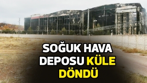 Soğuk hava deposu küle döndü