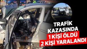 Trafik kazasında 1 kişi öldü 2 kişi yaralandı
