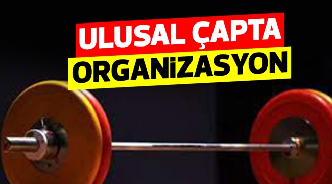 ULUSAL ÇAPTA ORGANİZASYON