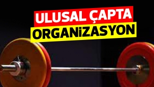 ULUSAL ÇAPTA ORGANİZASYON