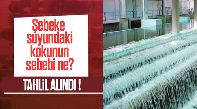 ŞEBEKE SUYUNDAKİ KOKUNUN SEBEBİ NE?