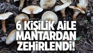 Kırıkkale'de 6 kişi mantardan zehirlendi