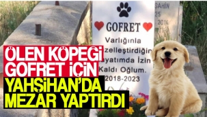 Ölen köpeği Gofret için mezar yaptırdı