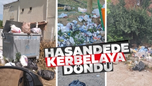 Hasandede Köyü Kerbelâya Döndü