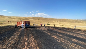 Sulakyurt'ta Buğday Tarlası Yandı 