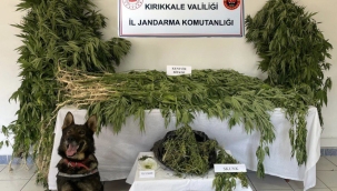 Kırıkkale'de kubar esrar ele geçirildi 