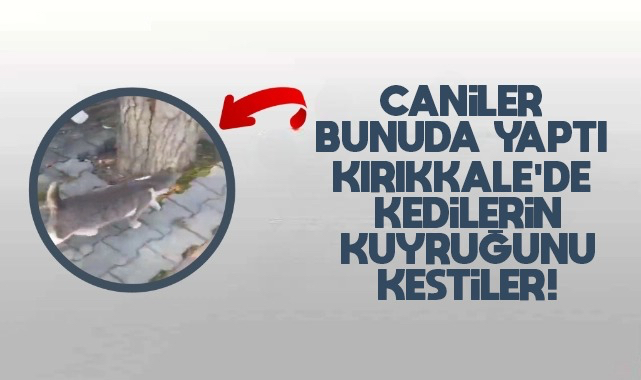 Kırıkkale'de caniler bunuda yaptı