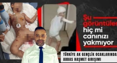 Türkiye'de Başıboş Köpek Sorunu: Abbas Haşmet Yoğun Bakımda