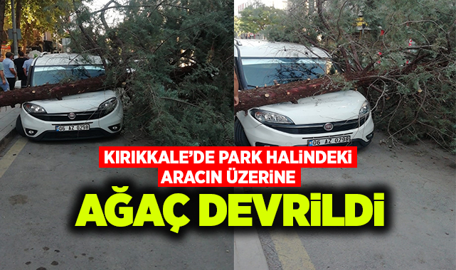 Kırıkkale'de park halindeki aracın üzerine ağaç devrildi