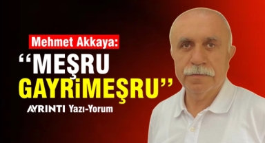 Meşru gayrimeşru 