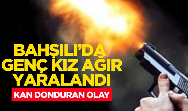 Bahşılı'da genç kız ağır yaralandı