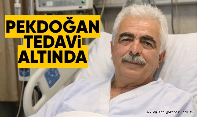 Pekdoğan tedavi altında