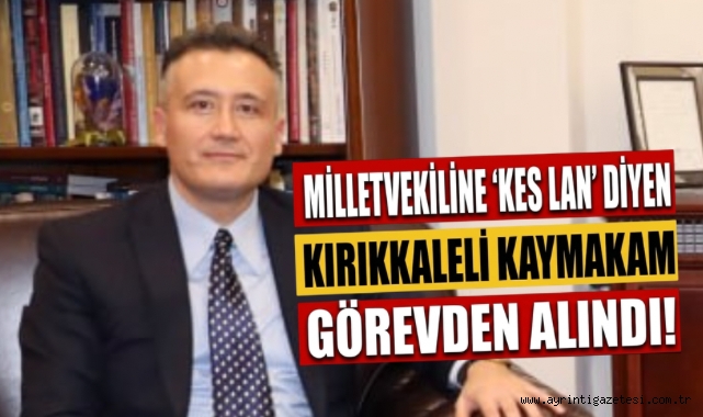 Milletvekiline