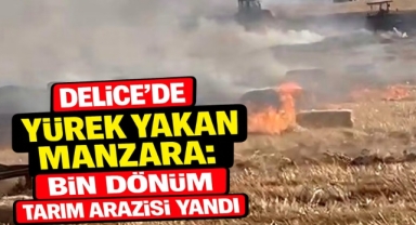 Delice'de Yürek Yakan Manzara: Bin Dönüm Tarım Arazisi Yandı