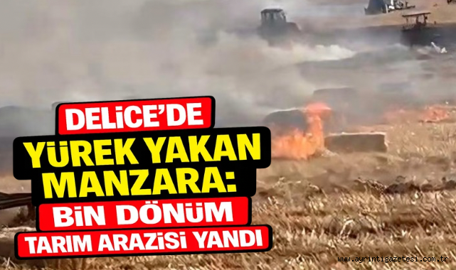 Delice'de Yürek Yakan Manzara: Bin Dönüm Tarım Arazisi Yandı