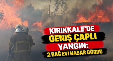Kırıkkale'de geniş çaplı yangın: iki bağ evi hasar gördü 