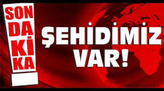 BİR ŞEHİT DAHA