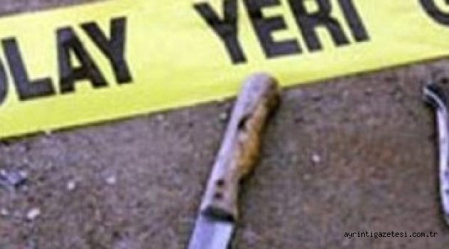 Eltisini bıçaklayarak öldürdü