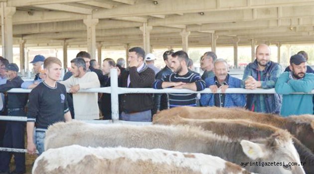 Genç çiftçi projelerinin desteklenmesi