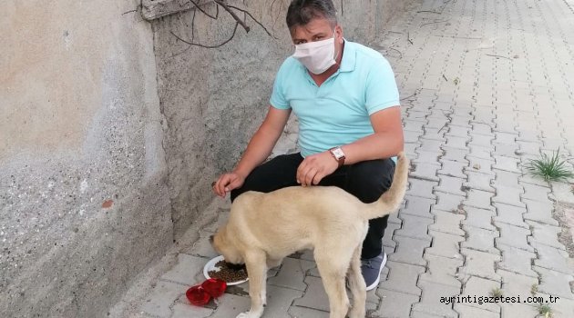 MAZILIGÜNEY KONUŞAMAYAN CANLARA NEFES OLDU