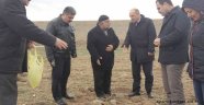 Tarla faresi ile mücadele uygulamalı olarak anlatıldı