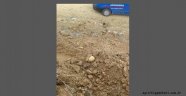 İnsan kemiği bulundu 