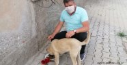 MAZILIGÜNEY KONUŞAMAYAN CANLARA NEFES OLDU 