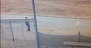 Delice'de masum köpeğe vahşet